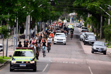 Pedal 43ª Oficina de Música de Curitiba