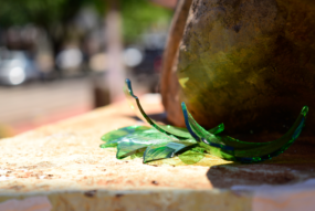 ________DSC5726