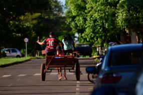 ________DSC6434